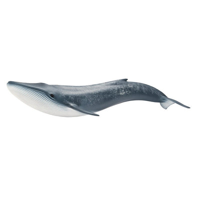 Schleich Whale - Blue Whale 14696