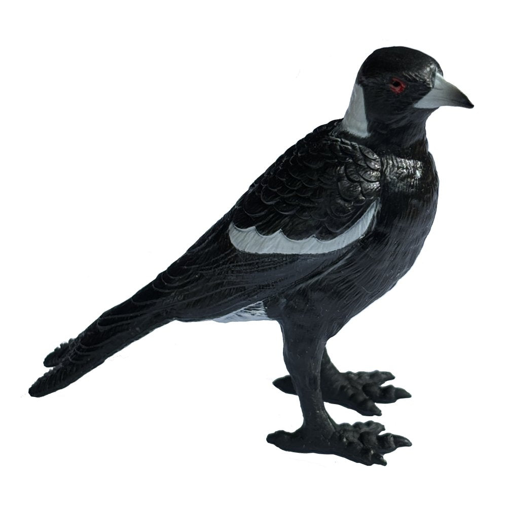 Australian Animal Birds Magpie Toy Figurine – Toy Dreamer