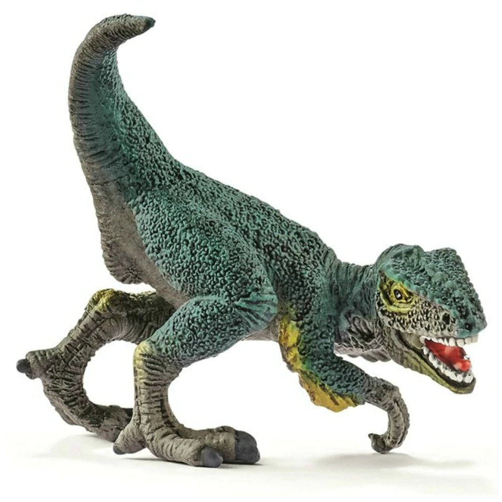 https://www.toydreamer.com/cdn/shop/products/Schleich-14598-Dinosaur-Mini-Velociraptor_1000x.jpg?v=1533649733